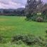  Haus zu verkaufen in Rumipamba, Pichincha, Rumipamba