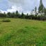  Land for sale in Paipa, Boyaca, Paipa