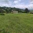  Land for sale in Paipa, Boyaca, Paipa