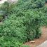  Land for sale in Baguio City, Cordillera, Baguio City, Benguet