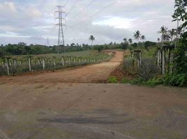  Land for sale in Mendez, Cavite, Mendez