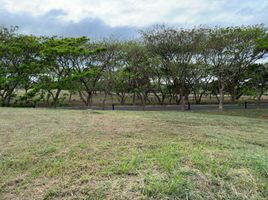 Terrain à vendre à Calamba City, Calabarzon, Calamba City