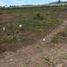  Terreno (Parcela) en venta en Calamba City, Calabarzon, Calamba City, Laguna, Calabarzon, Filipinas