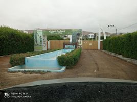  Terrain for sale in Mejia, Islay, Mejia