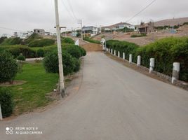  Grundstück zu verkaufen in Islay, Arequipa, Mejia