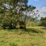  Land for sale in Santa Rosa De Cabal, Risaralda, Santa Rosa De Cabal