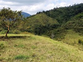  Land for sale in Santa Rosa De Cabal, Risaralda, Santa Rosa De Cabal
