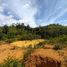  Land for sale in Ulu Selangor Selangor, Ampang Pechah