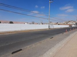  Terreno (Parcela) en venta en Tacna, Pocollay, Tacna, Tacna