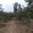  Land for sale in Huaral, Lima, Huaral, Huaral