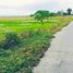  Land for sale in Tarlac City, Tarlac, Tarlac City