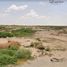  Land for sale in Juarez, Chihuahua, Juarez