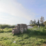  Land for sale in Indoparapeo, Michoacan, Indoparapeo