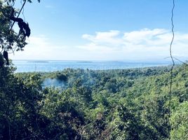  Land for sale in Puerto Princesa City, Mimaropa, Puerto Princesa City, Palawan, Mimaropa