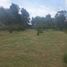  Land for sale in Quito, Pichincha, Conocoto, Quito