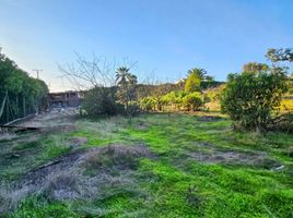  Terreno (Parcela) en venta en Chile, Viña del Mar, Valparaíso, Valparaíso, Chile