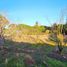  Terreno (Parcela) en venta en Chile, Viña del Mar, Valparaíso, Valparaíso, Chile