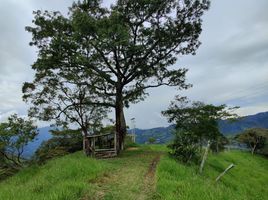  Terreno (Parcela) en venta en Guaduas, Cundinamarca, Guaduas