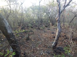  Terreno (Parcela) en venta en Temixco, Morelos, Temixco, Morelos
