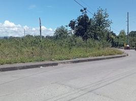  Land for sale in Lapu-Lapu City, Cebu, Lapu-Lapu City