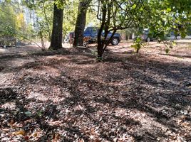  Terreno (Parcela) en venta en Chile, Quilago, Biobío, Biobío, Chile
