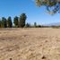  Terreno (Parcela) en venta en Chile, Quilago, Biobío, Biobío, Chile