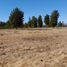  Terreno (Parcela) en venta en Chile, Quilago, Biobío, Biobío, Chile