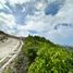  Terreno (Parcela) en venta en Cebu City, Central Visayas, Cebu City, Cebu, Central Visayas, Filipinas