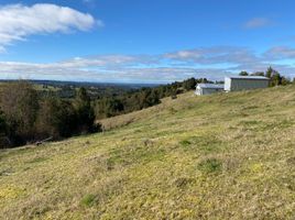  Land for sale in Chile, Fresia, Llanquihue, Los Lagos, Chile
