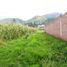 在秘鲁出售的 土地, San Sebastian, Cusco, Cusco, 秘鲁