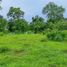  Land for sale in Prigen, East Jawa, Prigen, Pasuruan