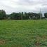  Land for sale in San Juan, Batangas, San Juan