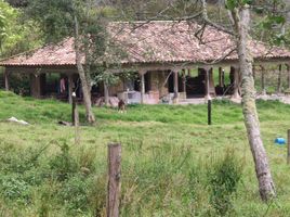 4 Schlafzimmer Villa zu verkaufen in Villa De Leyva, Boyaca, Villa De Leyva