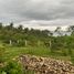  Land for sale in Anda, Central Visayas, Anda