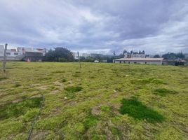  Terreno (Parcela) en alquiler en Pichincha, Calderon (Carapungo), Quito, Pichincha