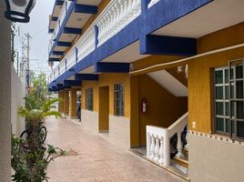 1 Bedroom Apartment for rent in Cozumel, Quintana Roo, Cozumel, Quintana Roo