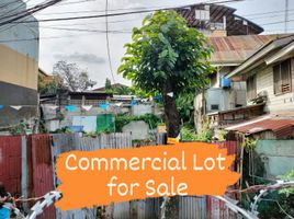  Land for sale in South Bus Terminal, Cebu City, Cebu City