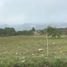  Land for sale in Mala, Lima, Mala