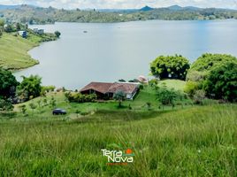  Grundstück zu verkaufen in Penol, Antioquia, Penol