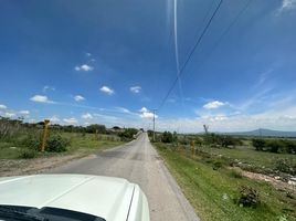  Terreno (Parcela) en venta en Huimilpan, Querétaro, Huimilpan
