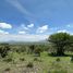  Terreno (Parcela) en venta en Huimilpan, Querétaro, Huimilpan
