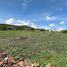  Terreno (Parcela) en venta en Huimilpan, Querétaro, Huimilpan