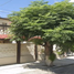 Maison 4 chambre à vendre à Saltillo, Coahuila, Saltillo