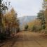  Terreno (Parcela) en venta en Chile, Curico, Curicó, Maule, Chile