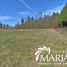  Land for sale in Chile, Villarrica, Cautin, Araucania, Chile