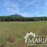  Land for sale in Chile, Villarrica, Cautin, Araucania, Chile