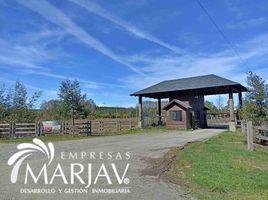  Land for sale in Chile, Villarrica, Cautin, Araucania, Chile