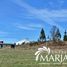  Land for sale in Chile, Villarrica, Cautin, Araucania, Chile