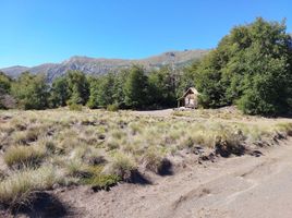 Land for sale in Nuble, Pinto, Diguillin, Nuble