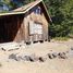  Land for sale in Nuble, Pinto, Diguillin, Nuble